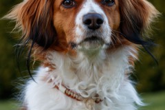 Caja-Profil-3